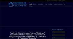 Desktop Screenshot of nopressureroofcleaning.com